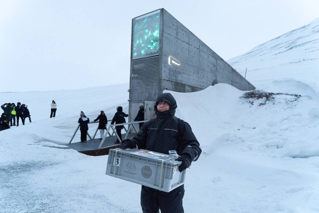 481174174 1031344675693689 2741707550289375902 n