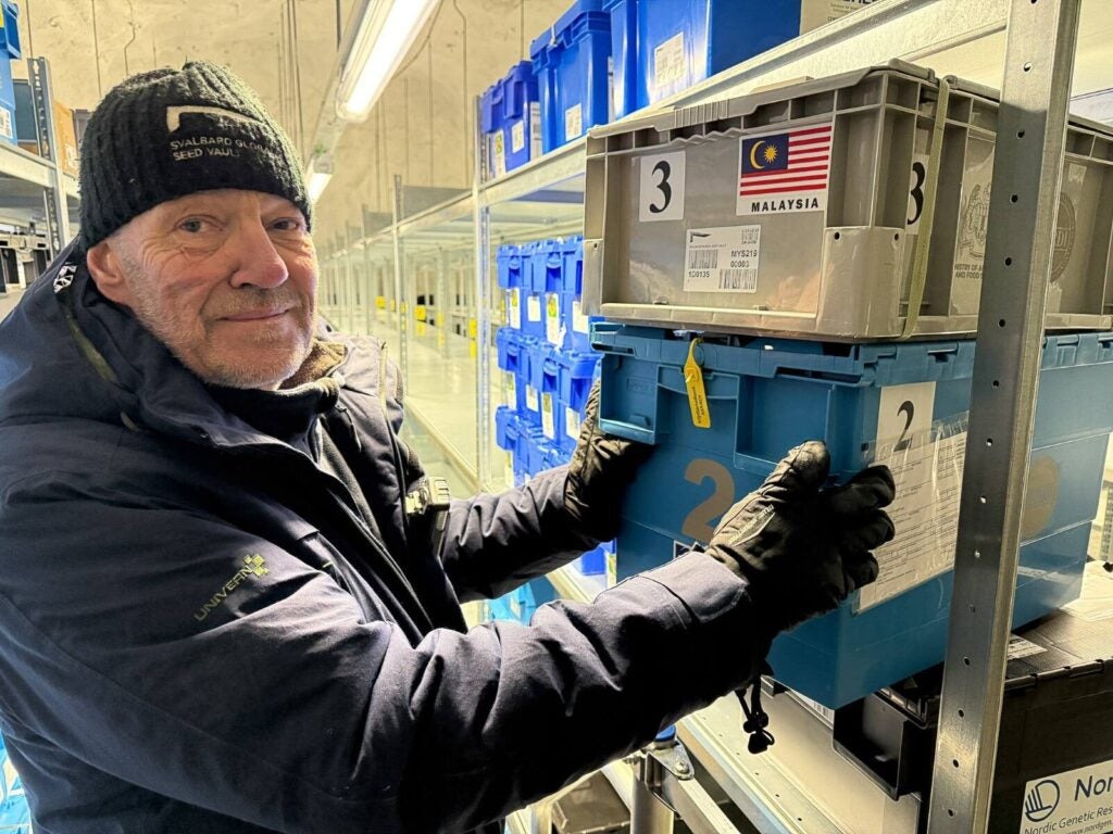 482002381 1031344735693683 6724453869049899269 n