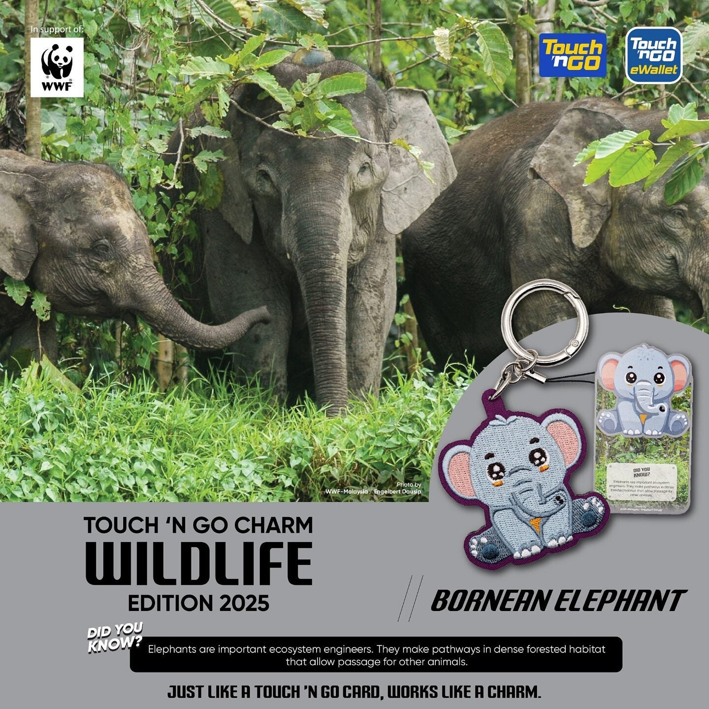 486085472 18495327868050384 58566202