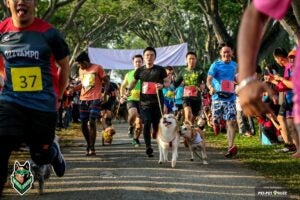 52665255 1986996408076631 1625800973014269952 n