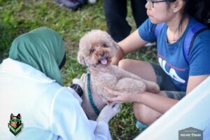 52950128 1986986998077572 4982695107456139264 n