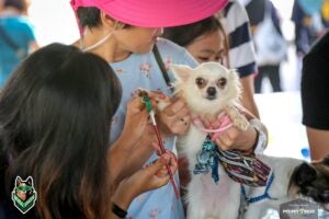 52964744 1990775681032037 1795140143242280960 n