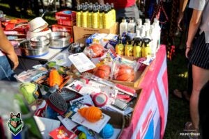 52984152 1990777644365174 856351010635907072 n