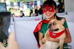 53150298 1990775187698753 6039242549577646080 n