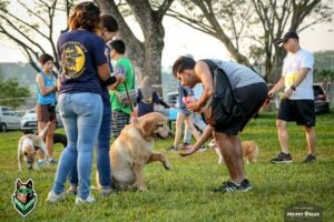 53478424 1986996171409988 665489531654373376 n