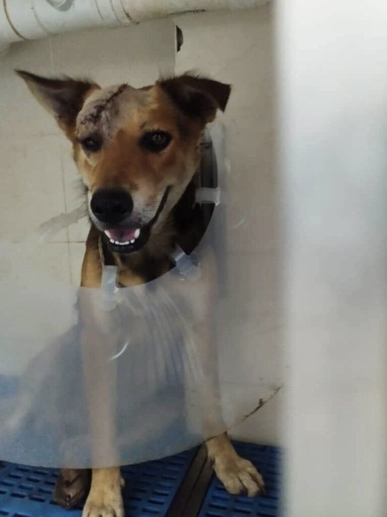 Screenshot 2025 03 04 at 10.29.55 AM