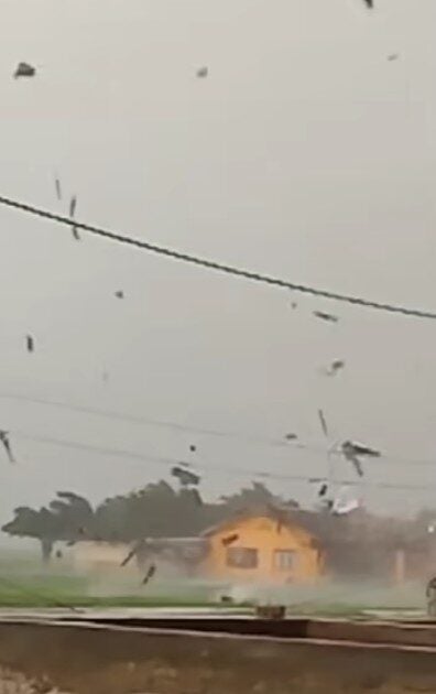 Screenshot 2025 03 06 105645