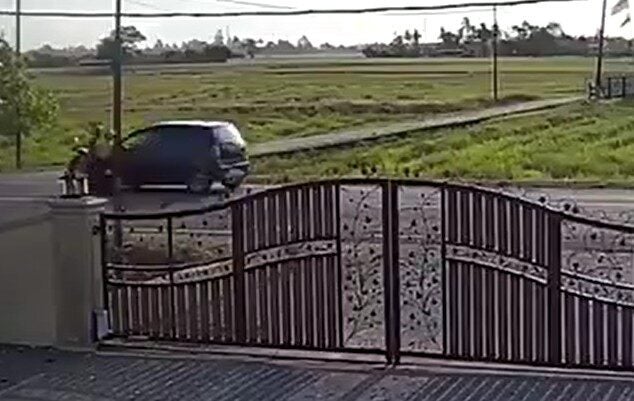 Screenshot 2025 03 10 122702