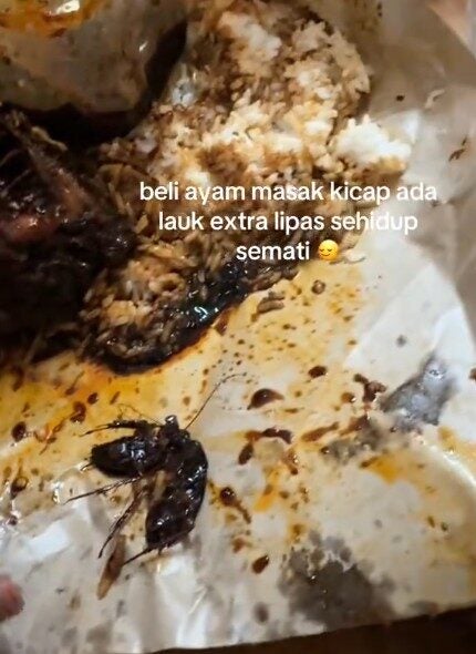 Screenshot 2025 03 12 124357