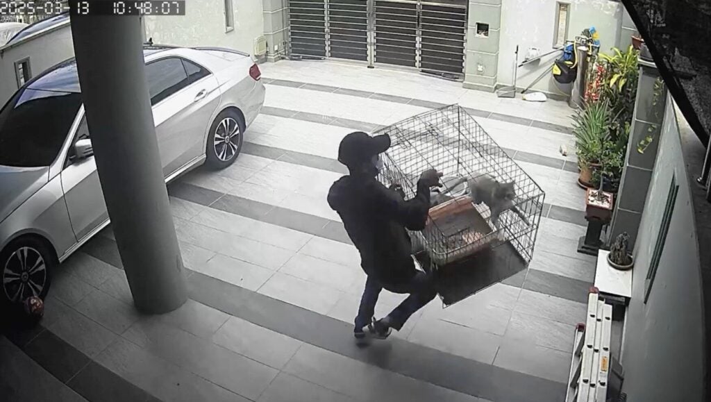 Screenshot 2025 03 14 at 2.26.15 PM