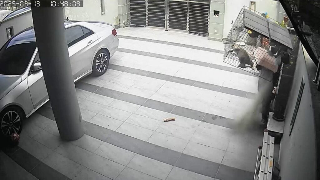 Screenshot 2025 03 14 at 2.27.31 PM