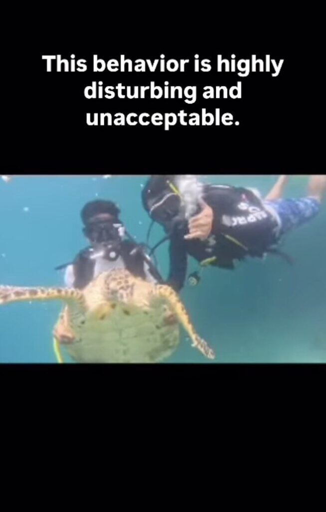 Screenshot 2025 03 14 at 9.33.30 AM