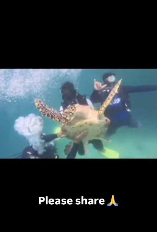 Screenshot 2025 03 14 at 9.34.28 AM