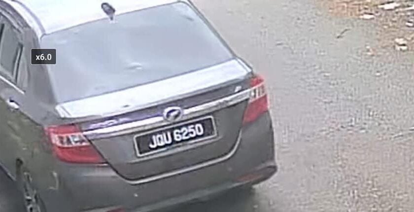 cat 2 e1741933492296