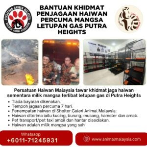 487925329 643842421729714 8978030425269549865 n