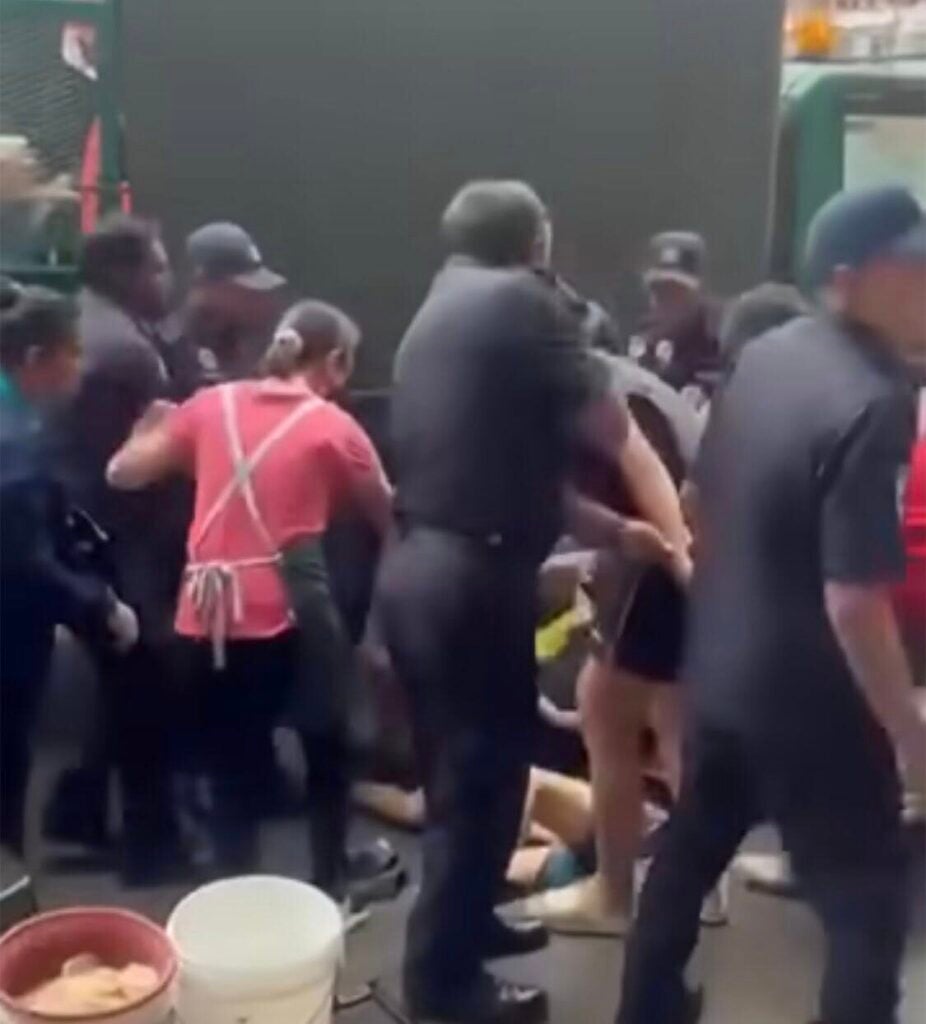 491394007 1362816661967821 8132471964155665152 n