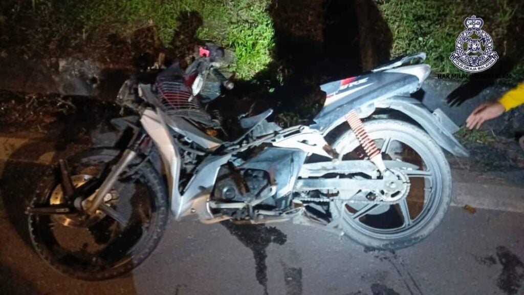 491913935 1076702481163242 3832732465620842749 n