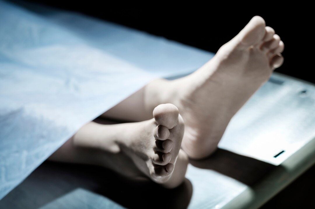 Didis Canva Do Not Touch 13