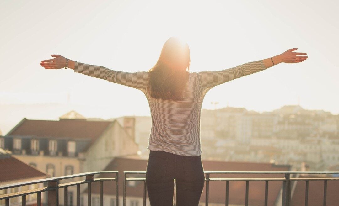 Didis Canva Do Not Touch 2