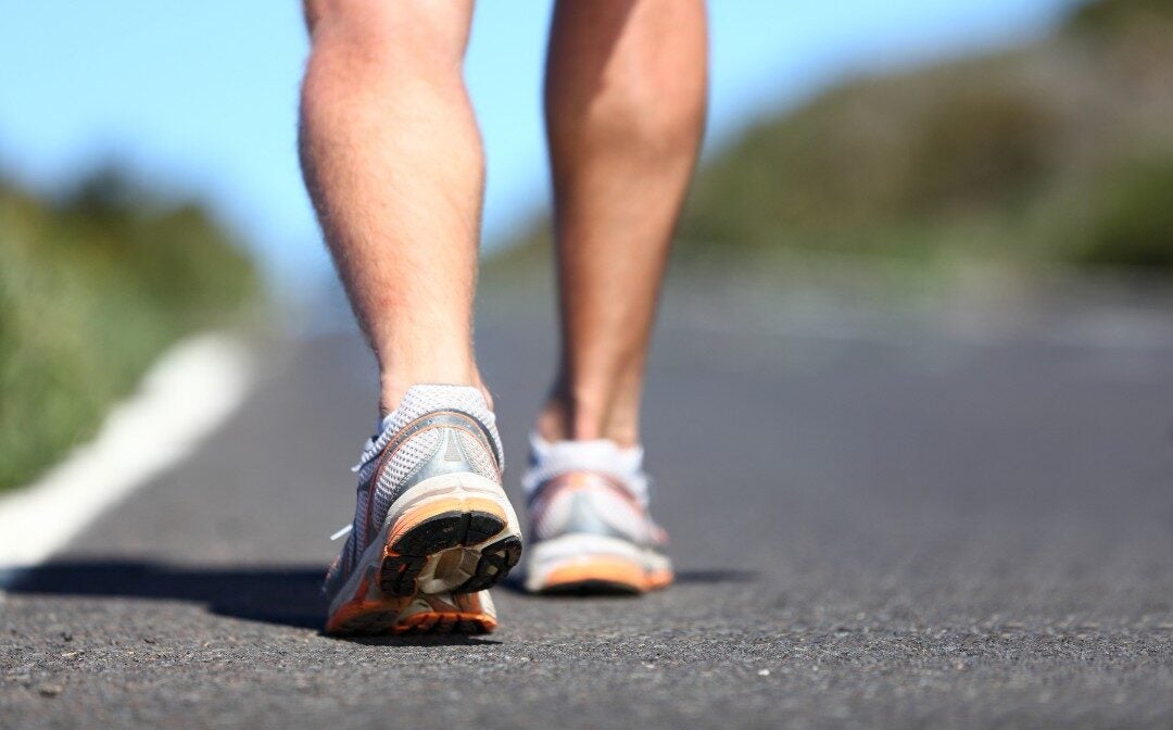 Didis Canva Do Not Touch