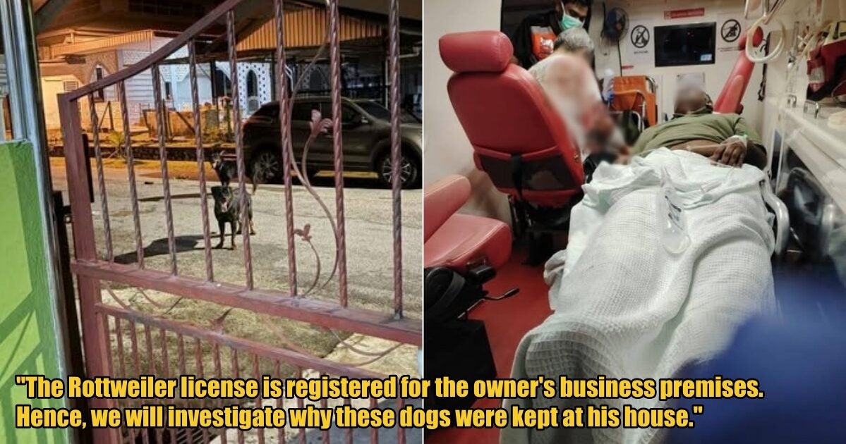 My Post 1 2025 04 01T155730.022