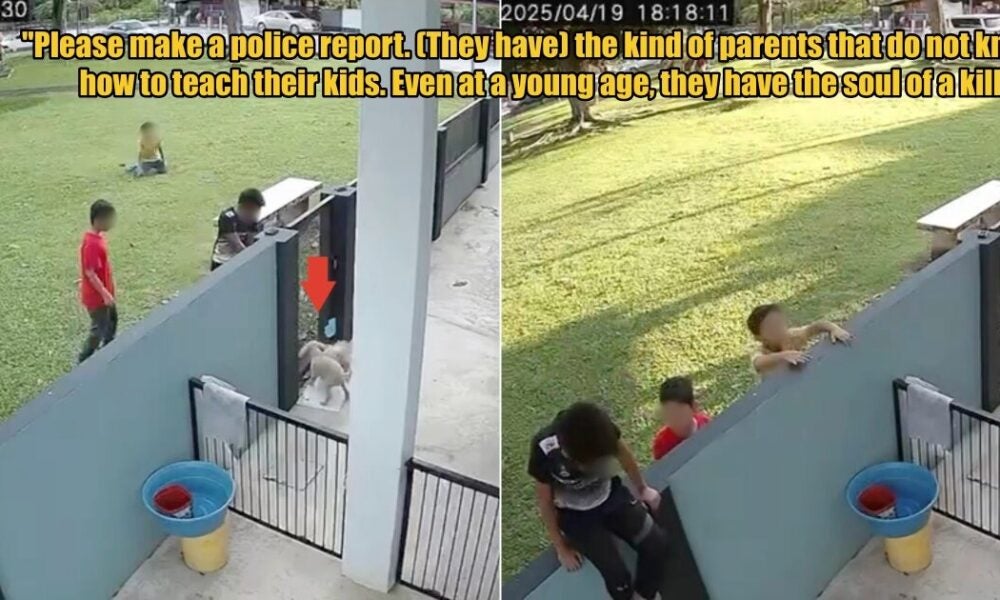 M’sianは、子供たちが彼女の犬の門を通って子猫を押して犬を駆け抜けて死ぬまで共有していることを共有しています