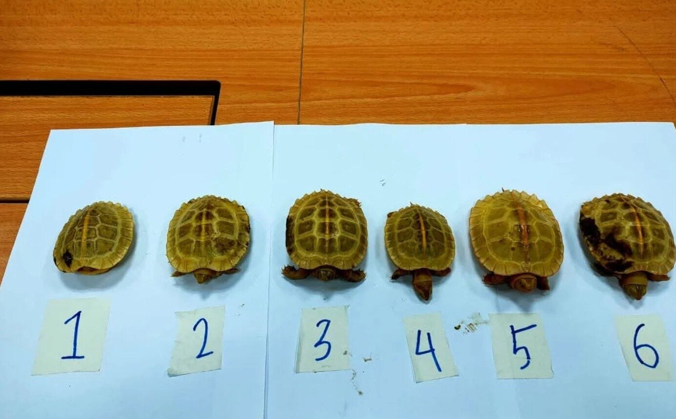 Screenshot 2025 04 23 095126