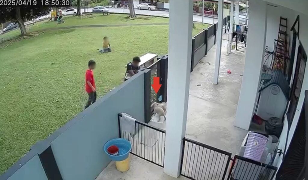 Screenshot 2025 04 24 at 4.10.37 PM