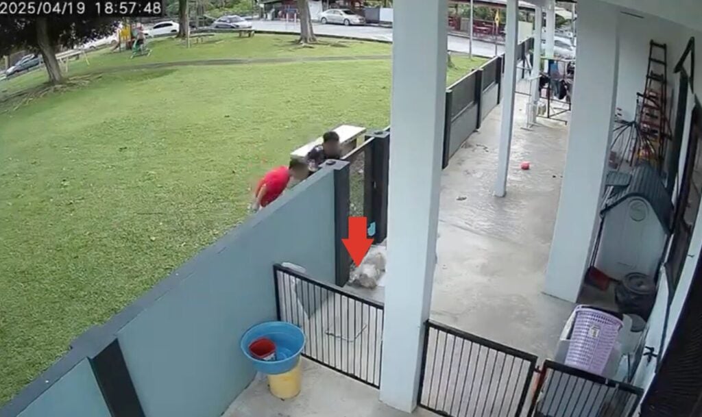 Screenshot 2025 04 24 at 4.12.16 PM