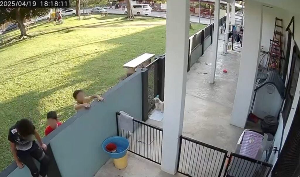 Screenshot 2025 04 24 at 4.13.49 PM