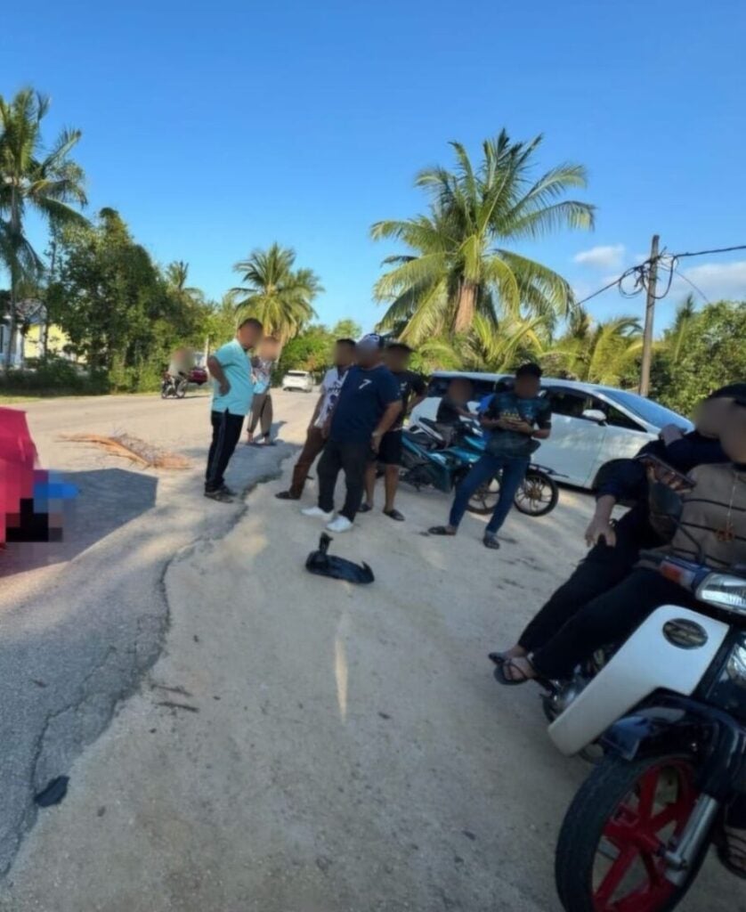 Screenshot 2025 04 29 at 5.12.21 PM