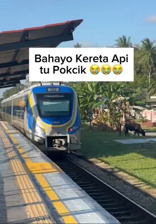 Screenshot 2025 04 30 141706