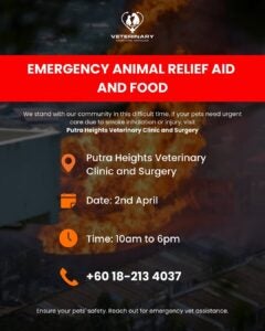 Snapins.ai 487673101 17928080520031302 7615543697742858156 n 1080