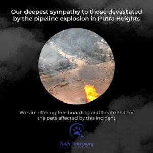 Snapins.ai 488241803 17887753248232686 8205955462483870266 n 1080