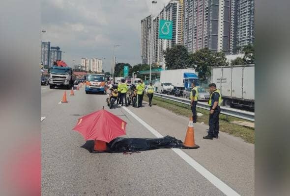 41746533677 IPDCheras