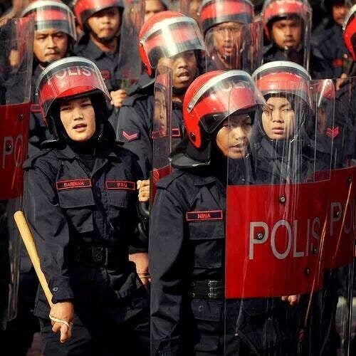 464295861 9233924173301492 4127234892982290312 n