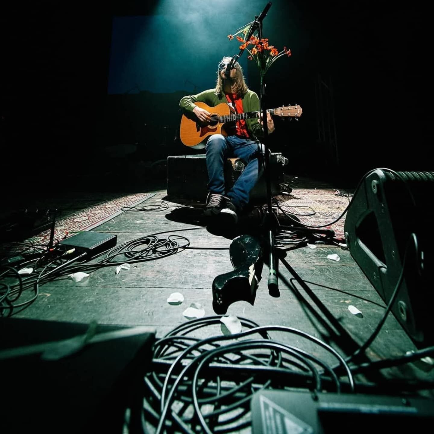 483487274 1182730129885681 6683160432554012058 n