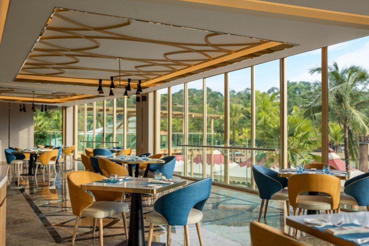 483847925 1051526383683741 1347393823981044264 n