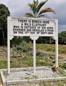 495575836 734674408883768 1873723690180837233 n