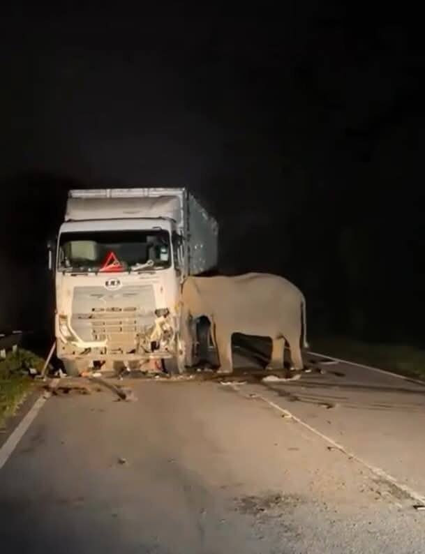 495877766 10054382381267857 6869088090760153728 n