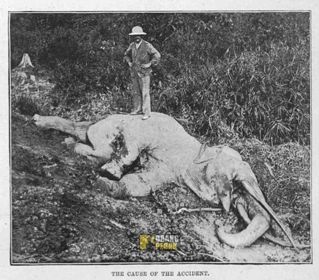 497443185 1268099454678501 6421246915197773318 n