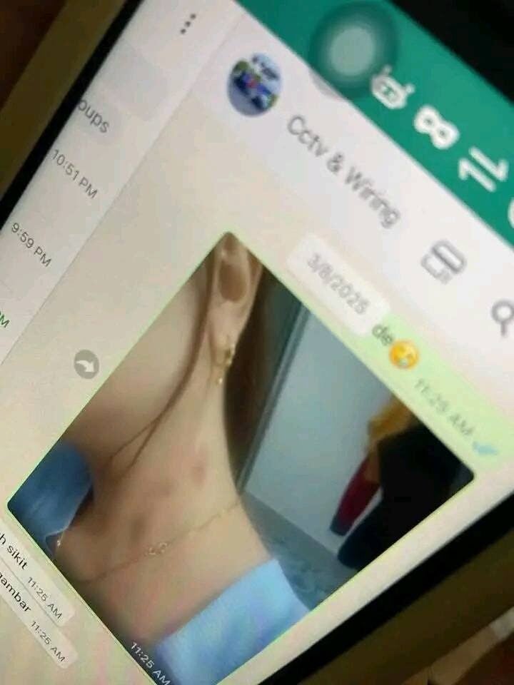 500128340 2059624737781804 8728629780717268736 n