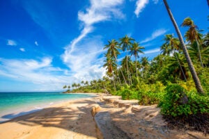 Baucau Beaches Kevin Austin © 58