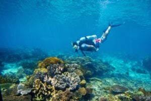 Baucau Beaches SPTO © 1