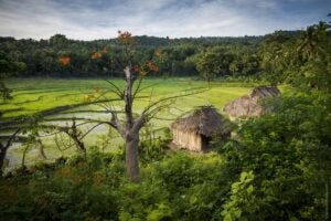 Baucau Beaches SPTO © 13