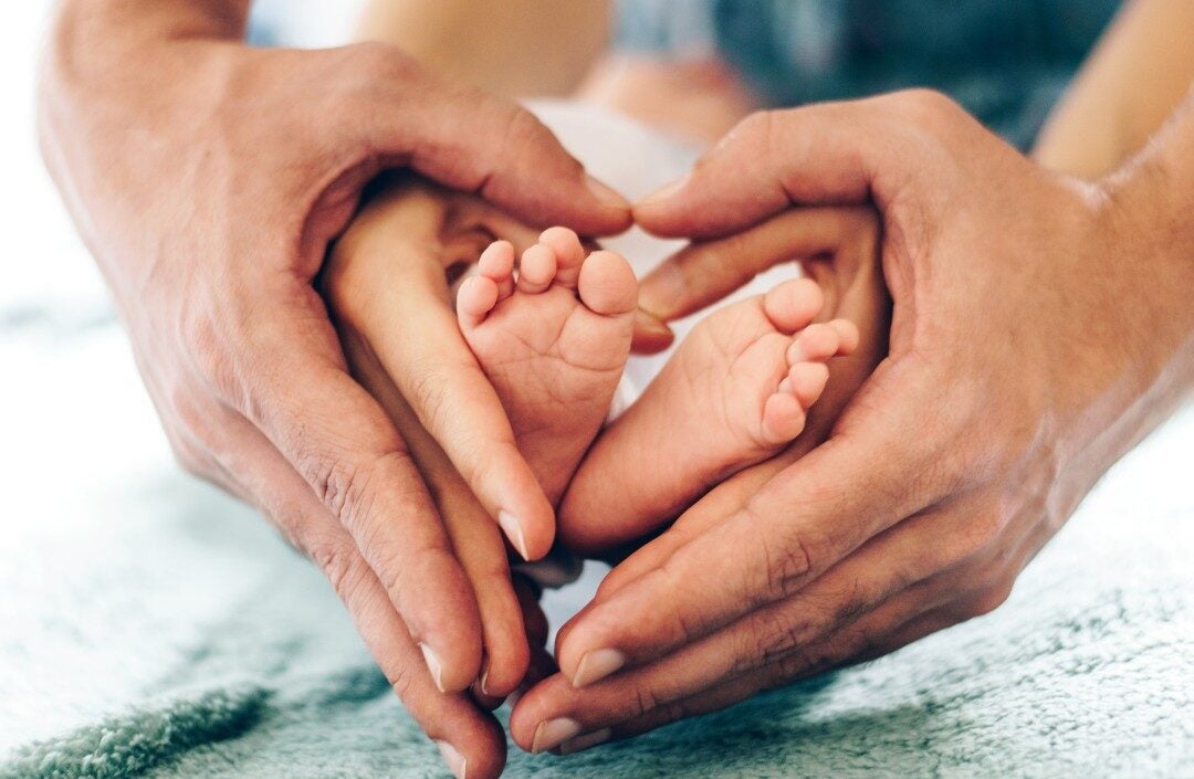 Didis Canva Do Not Touch 11