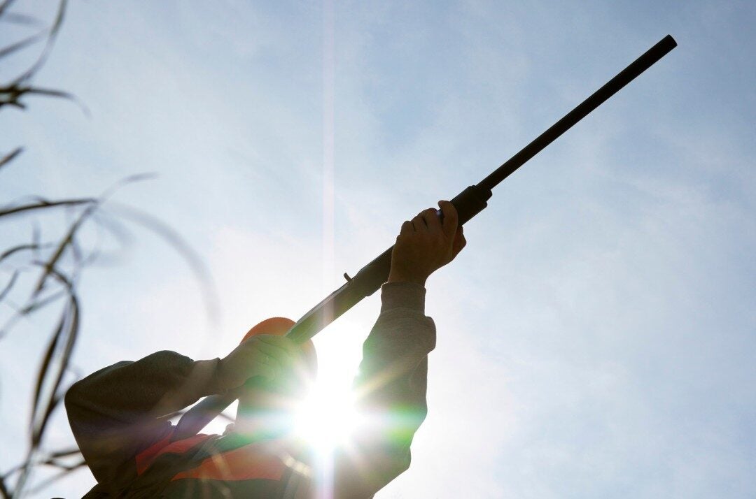 Didis Canva Do Not Touch 69 1