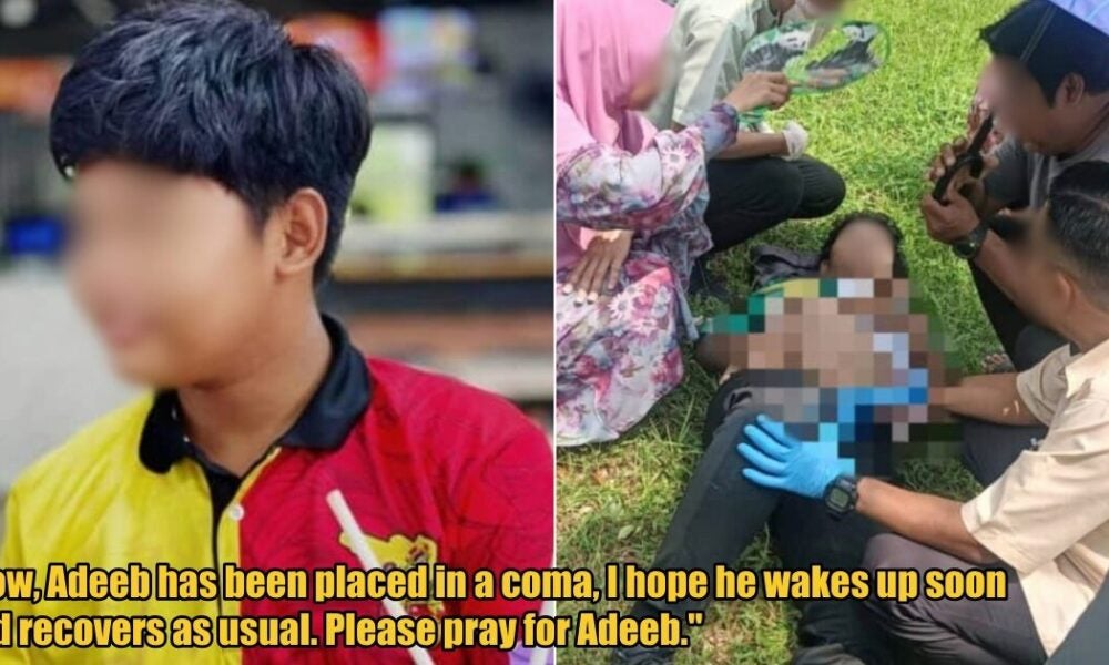 14yo Boy Placed in Coma After Stray Dog Attack in Rawang Leaves Him ...