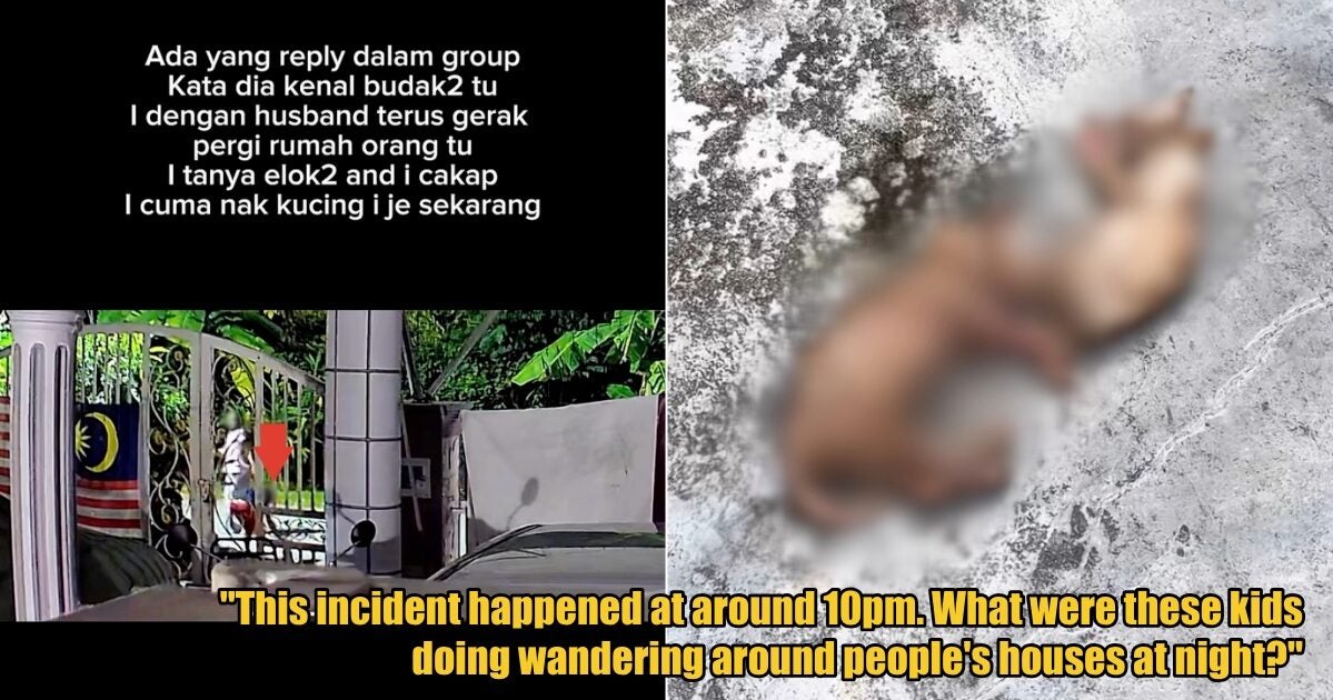 My Post 1 2025 05 26T161628.967