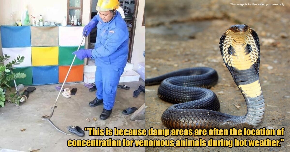 My Post 1 2025 05 29T160858.198